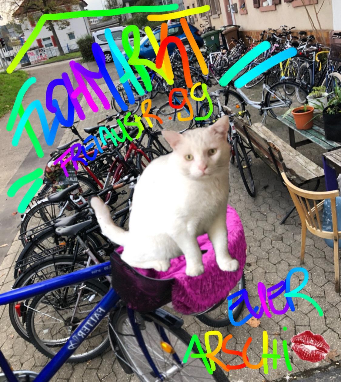 Flohmarkt